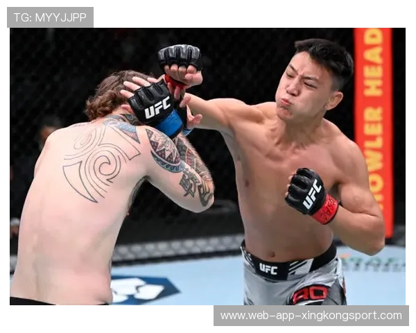 UFC选手战术制定与对手研究课：打造冠军的制胜宝典